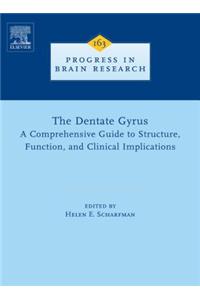 The Dentate Gyrus