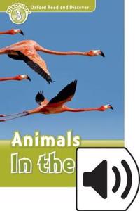 Oxford Read and Discover: Level 4: Animals in the Air Audio Pack