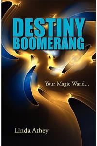 Destiny Boomerang