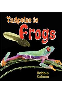 Tadpoles to Frogs