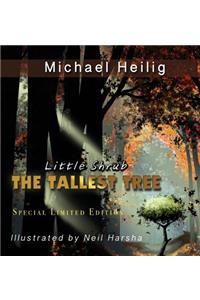 Little Shrub-The Tallest Tree