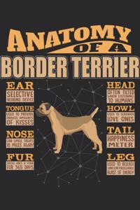 Anatomy Of A Border Terrier