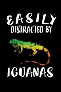 Easily Distracted By Iguanas