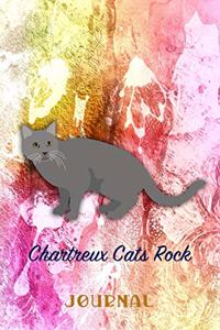 Chartreux Cats Rock