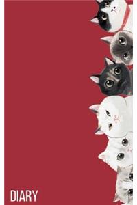 Diary