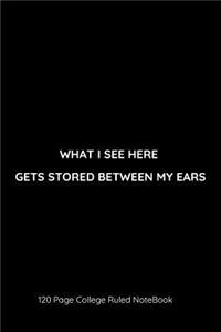 What I See Here Gets Stored Between My Ears