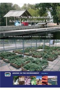 In-Situ Remediation of Arsenic-Contaminated Sites