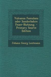 Vulcanus Famulans Oder Sonderbahre Feuer-Nutzung. - Primary Source Edition