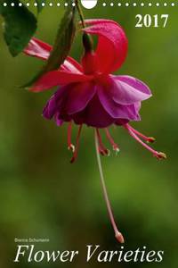 Flower Varieties 2017