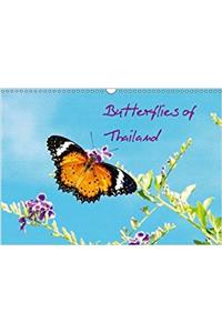 Butterflies of Thailand 2017