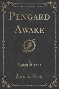 Pengard Awake (Classic Reprint)