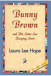 Bunny Brown and His Sister Sue Keeping Store