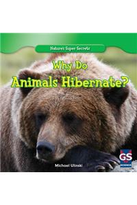 Why Do Animals Hibernate?