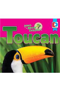 Animals of the Amazon Rainforest: Toucan