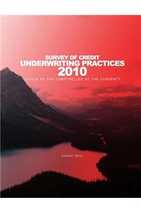 Survey of Credit Underwriting Practices 2010