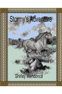 Stormy's Adventure