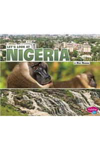 Lets Look at Countries Lets Look at Nigeria