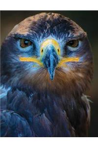 Hawk Eyed Blank Sketchbook