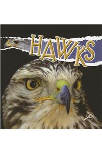 Hawks