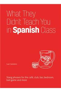 What They Didn't Teach You in Spanish Class