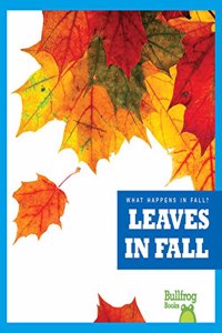 Leaves in Fall