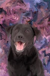 A Thank You To My Labrador