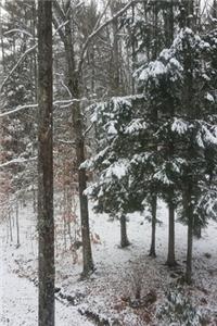 2020 Daily Planner Winter Pretty Snowstorm 388 Pages
