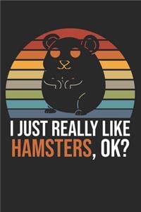 I Just Really Like Hamsters, OK?