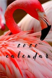 2020 Flamingo Calendar Planner Organizer
