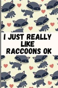 I Just Really Like Raccoons Ok