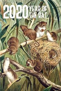 2020 Year Of The Rat