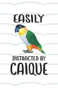 Easily Distracted By Caique Notebook Journal