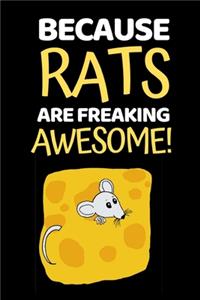 Because Rats Are Freaking Awesome...