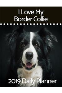 I Love My Border Collie