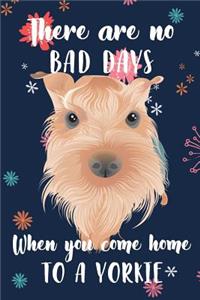 There Are No Bad Days When You Come Home to a Yorkie
