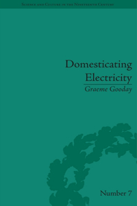 Domesticating Electricity