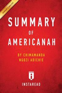 Summary of Americanah