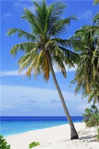 A Beautiful Beach in Tahiti Journal