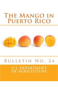 Mango in Puerto Rico