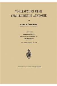 Vorlesungen über Vergleichende Anatomie