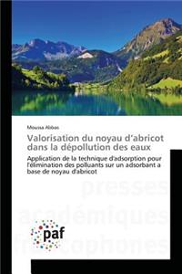 Valorisation Du Noyau d'Abricot Dans La Dépollution Des Eaux