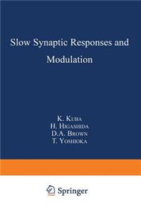 Slow Synaptic Responses and Modulation