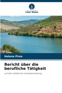 Bericht über die berufliche Tätigkeit