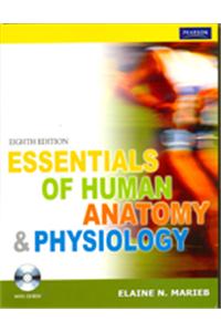 Essentials Of Human Anatomy & Physiology 8e (s)
