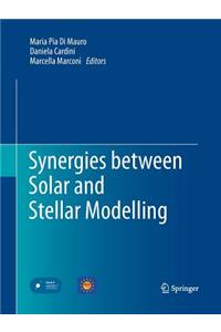 Synergies Between Solar and Stellar Modelling