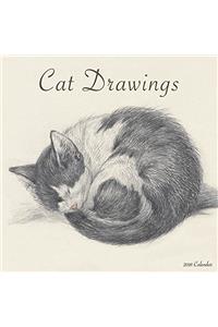 Cat Drawings