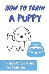 How To Train A Puppy