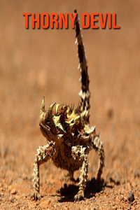 Thorny Devil