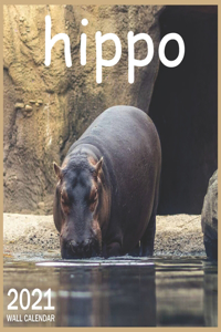 2021 hippo