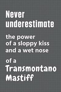 Never underestimate the power of a sloppy kiss and a wet nose of a Transmontano Mastiff